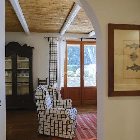 Miro E Matisse By Wonderful Italy